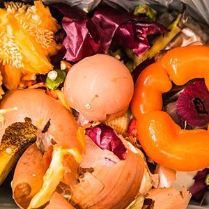 blog-guide-to-food-waste-disposal