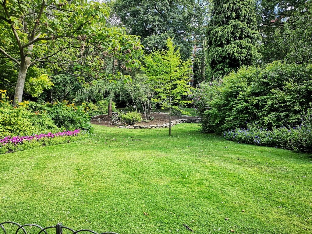 How To Create An Eco-Friendly Garden