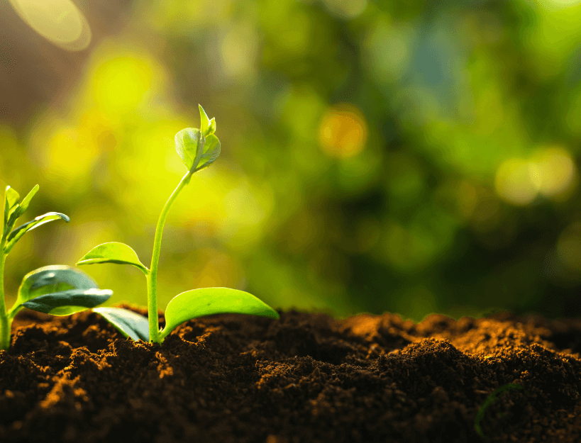 Environmental Considerations in Confidential Waste Management