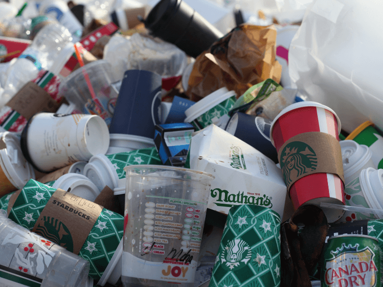 Budget-Friendly Commercial Waste Disposal